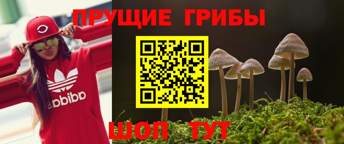 Галлюциногенные грибы ЛСД  Вход с VPN  купить закладку  Людиново 